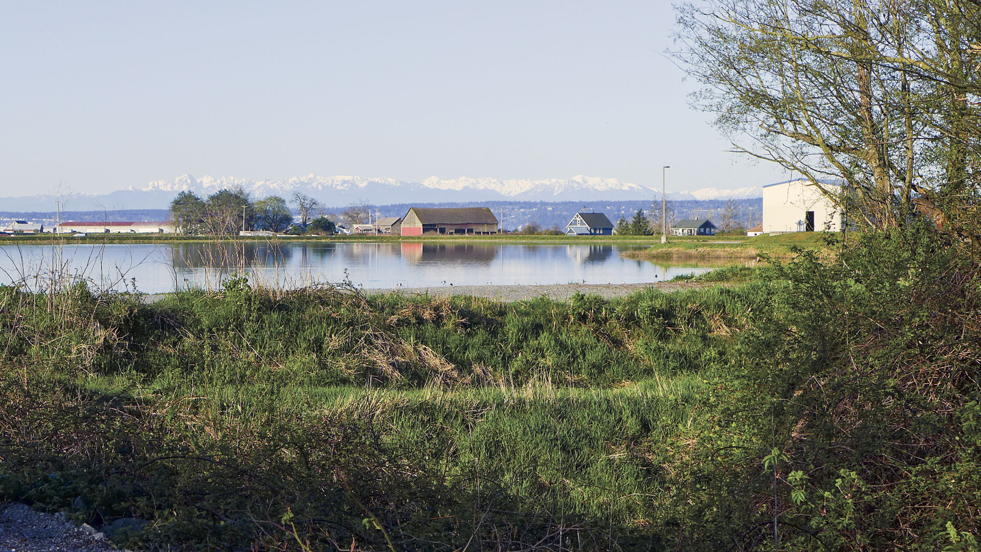 Port Susan Trail